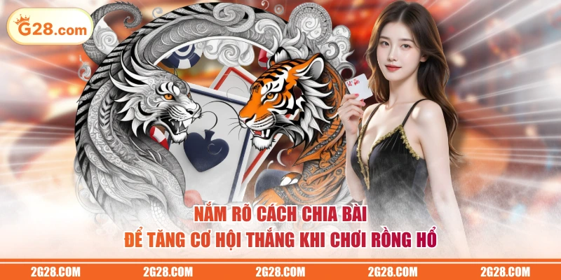 Nắm rõ cách chia bài để tăng cơ hội thắng khi chơi Rồng Hổ