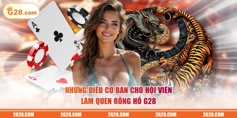 Những điều cơ bản cho hội viên làm quen Rồng Hổ G28