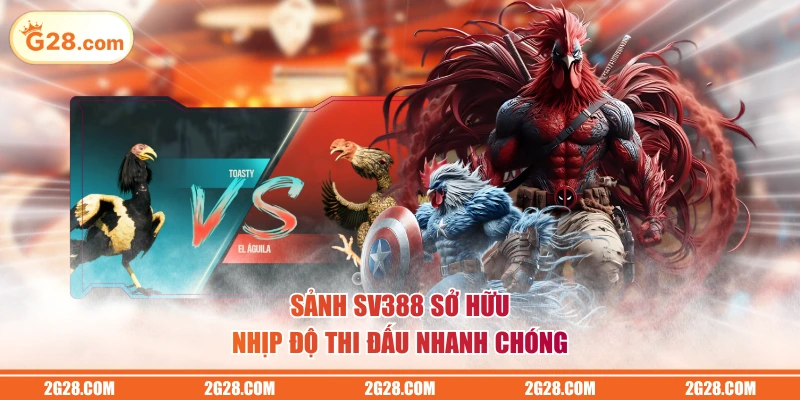 Sảnh SV388 sở hữu nhịp độ thi đấu nhanh chóng