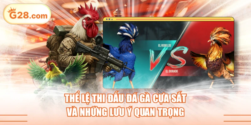 Thể Lệ Thi Đấu Đá Gà Cựa Sắt Và Những Lưu Ý Quan Trọng